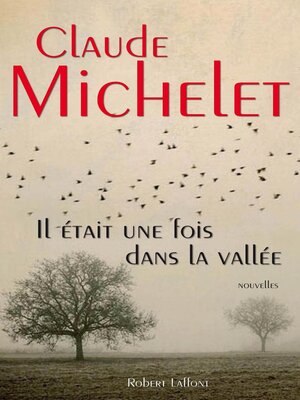 cover image of Il était une fois dans la vallée